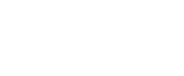 Penguins Travellers